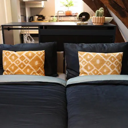 Coolest Loft -studio In -close To The & Amsterdam 3rd Floor Lägenhet Haarlem