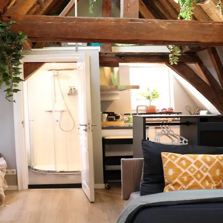 Coolest Loft -studio In -close To The & Amsterdam 3rd Floor דירה *
