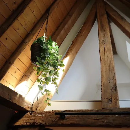 Coolest Loft -studio In -close To The & Amsterdam 3rd Floor דירה